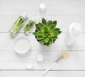 green cosmetics flat lay with succulent plant. top view
