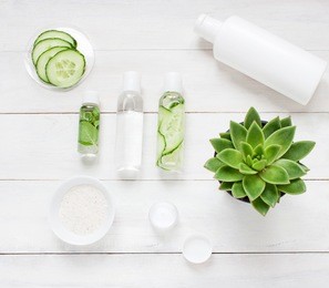 green cosmetics flat lay with succulent plant. top view