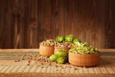 beer ingredients on wooden background