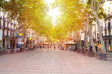 la rambla street. the most popular street in barcelona early in the morning. almost empty. spain