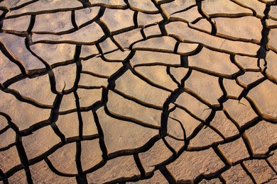 detail of a cracked earth, crack earth, crack soil , global