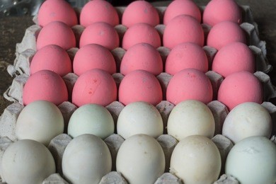 preserved egg on paper tray