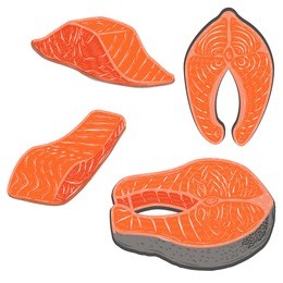 salmon meat. salmon steaks isolated on white background. vector illustration