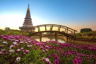 landscape of two pagodas noppamethanedol & noppapol phumsiri in an inthanon mountain, thailand.
