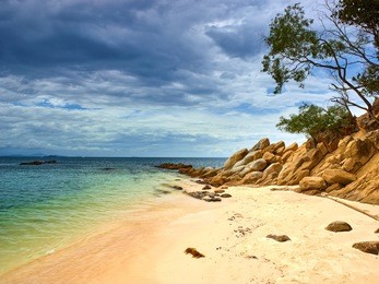 tunku abdul rahman - sapi