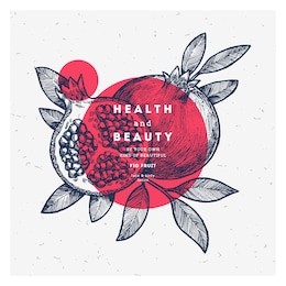 pomegranate fruit vintage design template. botanical fruit. engraved pomegranate. vector illustration