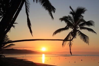 sunset and palm trees on the beach in fiji