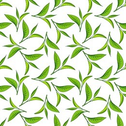seamless pattern with green tea leaves on white background. hand painting on paper. may used in fabric, wrapping paper. vector illustration