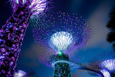 garden by the bay at night 