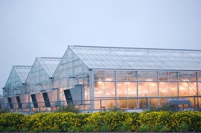lighted greenhouse in the rain