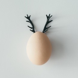 easter egg with reindeer horns . flat lay. minimal concept.