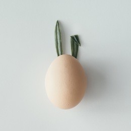 easter egg with bunny ears. flat lay. minimal concept.
