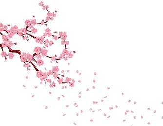 branches with pink flowers and cherry buds. sakura. petals flying in the wind. isolated on white background. vector illustration