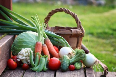 fresh vegetable harvest nature outdoor