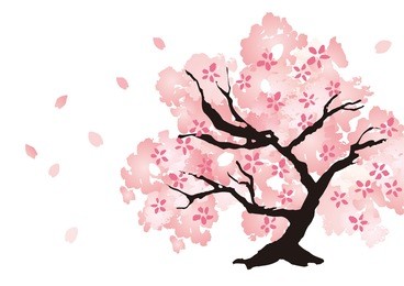 a beautiful cherry tree illustration