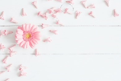 flowers composition. pink flowers on white wooden background. flat lay, top view.