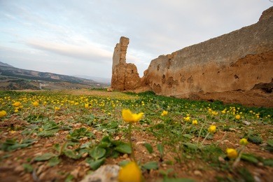 historical ruin,  fez,amazing view ,sunset colors,morocco 