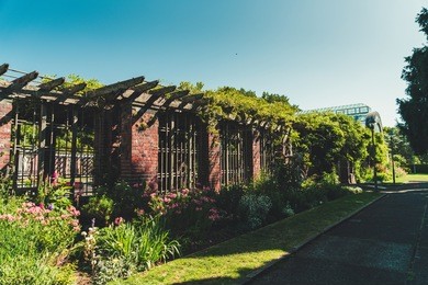 auckland domain, auckland, new zealand