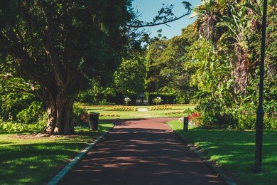 auckland domain, auckland, new zealand