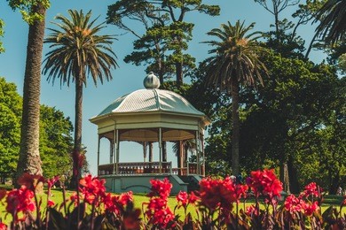 auckland domain, auckland, new zealand