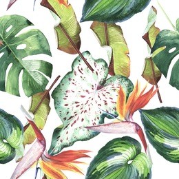tropical hawaii leaves palm tree pattern in a watercolor style isolated. aquarelle wild flower for background, texture, wrapper pattern, frame or border.