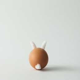 easter bunny made of egg and cotton wool. minimal easter concept.