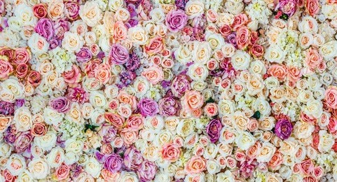 flowers wall background with amazing red and white roses, wedding decoration, hand made