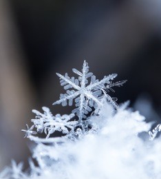 natural snowflakes on snow, photo real snowflakes during a snowfall, under natural conditions at low temperature