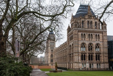 museum of natural history in london, great britain