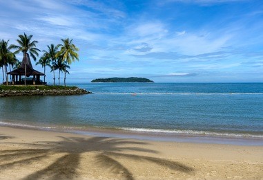 beach and palm trees in kota kinabalu, sabah, malaysia.