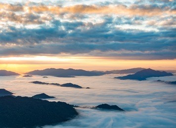 sunrise and sea of mist, view from phucheefa forest park mountain at phucheefa,chiangrai province ,north of thailand. " the peak of mountain point to the sky "