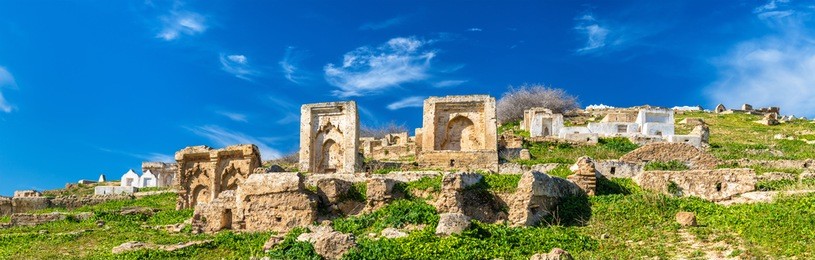 cemetery at the marinid tombs in fes - morocco