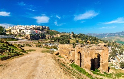 cemetery at the marinid tombs in fes - morocco
