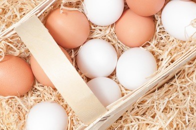 white and brown fresh hen's eggs in wood wool - top view; poultry sector; food production; bakery ingredients; packaging material for fragile products; organic chicken eggs - fresh from producer