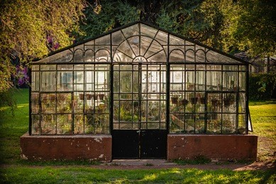 old greenhouse in park