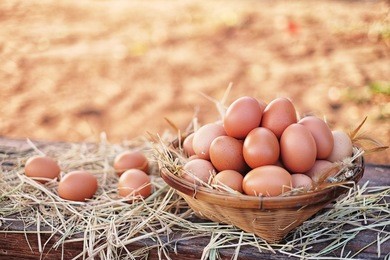 chicken eggs quality organic in bamboo basket. food are useful and contain many nutrients that are essential to the body.  soft focus and blur background.