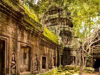 tree roots over the ta prohm (rajavihara), a temple at angkor, province, cambodia. it was founded by the khmer king jayavarman vii as a mahayana buddhist monastery and university.