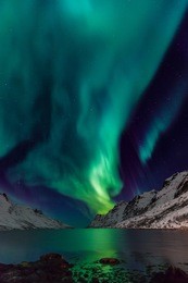 northern lights  - aurora - in norwegian mountains in winter