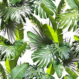 tropical leaves pattern. green leaf exotic plants seamless. artistic photo collage for floral print. natural leaves palm, banana, monstera template background.