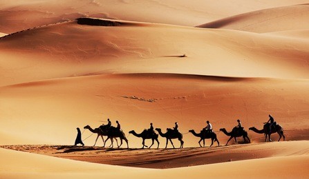 caravan in sahara desert