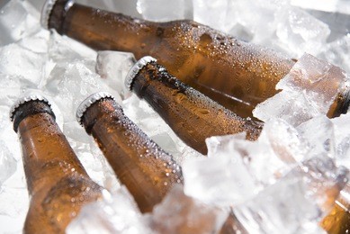 bottles of beer chilled in ice
