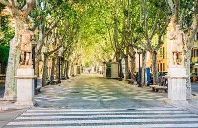 spain majorca, old town city center palma, view of the alley passeig de la rambla.