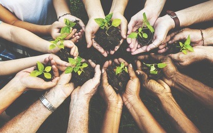 group of environmental conservation people hands planting in aerial view