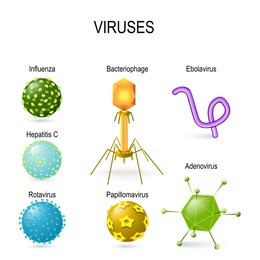 viral shapes. different shapes of viruses. diagram showing viruses: bacteriophage, ebolavirus, hepatitis, rotavirus, adenovirus, papillomavirus and influenza. set icons. vector illustration. 