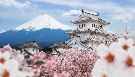 himeji castle and full cherry blossom, with fuji mountain background, japan