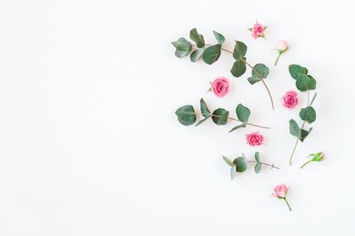 flowers composition. rose flowers and eucalyptus branches on white background. flat lay, top view, copy space.