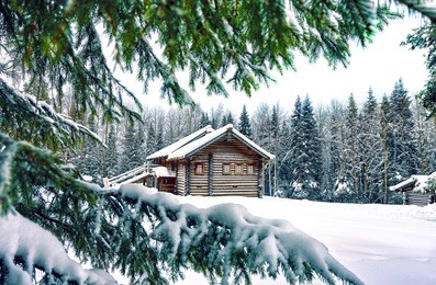 winter house through snowy fir tree branches