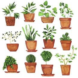 set of doodle home plants painted by watercolor. hand drawn illustration.