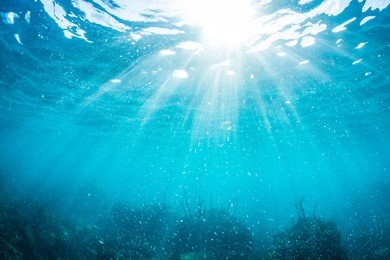 rays of sunlight shining into sea, underwater view