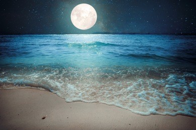 beautiful fantasy tropical beach with star and full moon in night skies - imagine style artwork with vintage color tone 